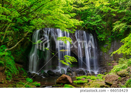 Fresh green Tatsusawa Fudo Waterfall Fukushima Inawashiro Fresh green Tatsusawa Fudo Waterfall Fukushima Inawashiro 66058429