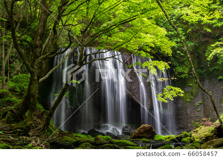 Fresh green Tatsusawa Fudo Waterfall Fukushima Inawashiro Fresh green Tatsusawa Fudo Waterfall Fukushima Inawashiro 66058457