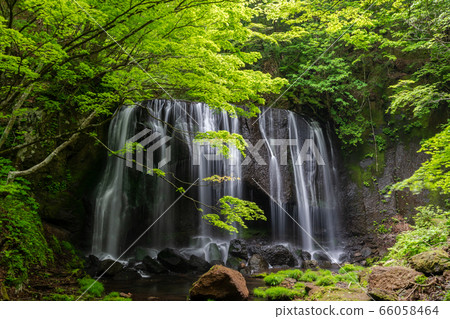 Fresh green Tatsusawa Fudo Waterfall Fukushima Inawashiro Fresh green Tatsusawa Fudo Waterfall Fukushima Inawashiro 66058464