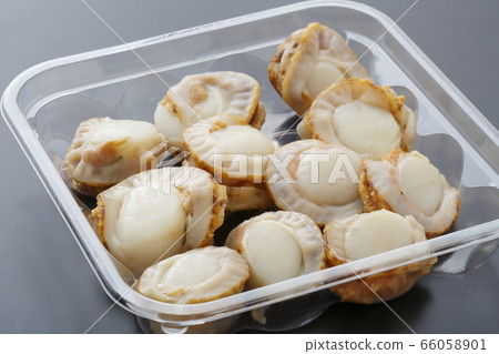 Steamed scallop 66058901