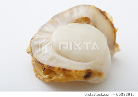 Steamed scallop Steamed scallop 66058913