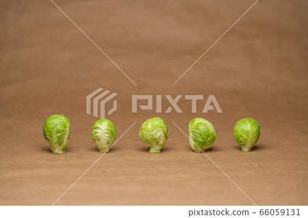 抱子甘藍,對齊,棕背,影棚拍攝 抱子甘藍,對齊,棕背,影棚拍攝 66059131