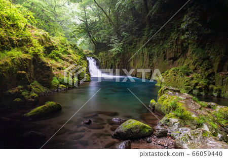 下雨的菊池谷的鮮綠色 下雨的菊池谷的鮮綠色 66059440
