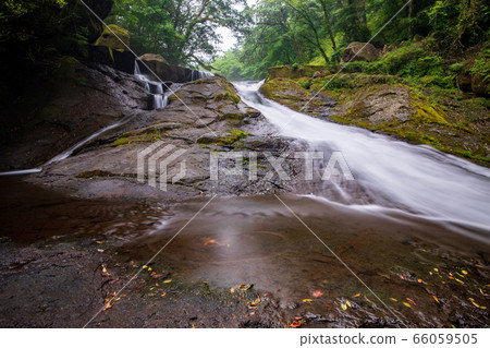 Fresh green of the Kikuchi valley where it rains 66059505