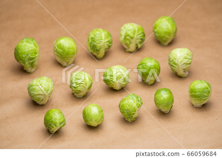 Brussels sprouts, lined up, brown back, diagonal, bokeh, studio shot 66059684