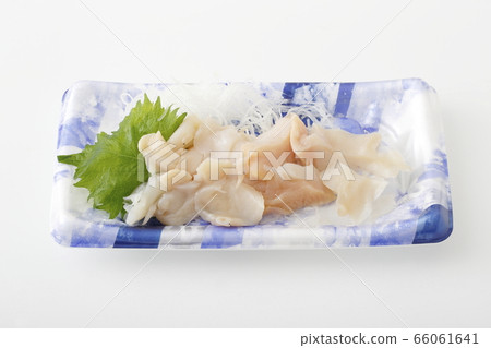 Mussel sashimi 66061641