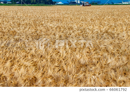 Mowing landscape Mowing landscape 66061792