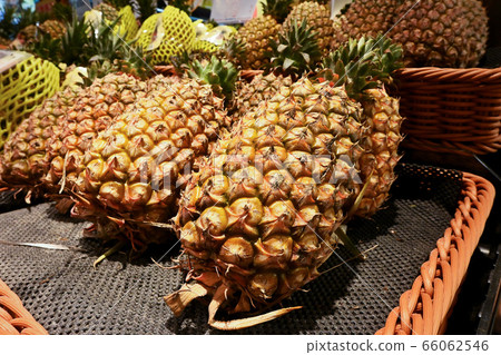 超市裡成堆的鳳梨 超市裡成堆的鳳梨 66062546