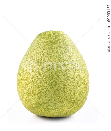 Pomelo mid-autumn festival white background go back pomelo isolated clipping path 切り抜き Pomelo mid-autumn festival white background go back pomelo isolated clipping path 切り抜き 66063175