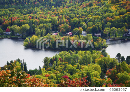 Autumn leaves in Canada 66063967