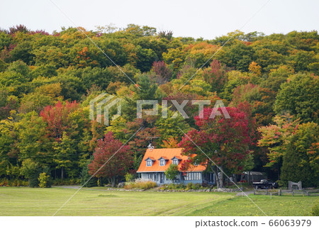 Autumn leaves in Canada 66063979