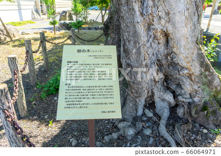 曼陀羅神廟157 曼陀羅神廟157 66064971