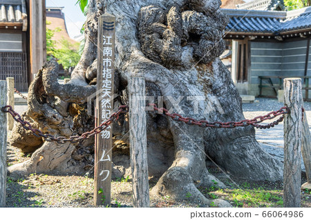 曼陀羅寺93 曼陀羅寺93 66064986