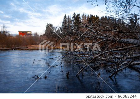 A fallen tree is right in front of a river in a village. A fallen tree is right in front of a river in a village. 66065244