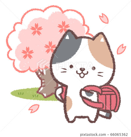 Three-eyed cat entrance ceremony red 66065362