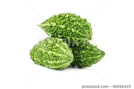 bitter gourd green herbal plant isolated on white background bitter gourd green herbal plant isolated on white background 66066428