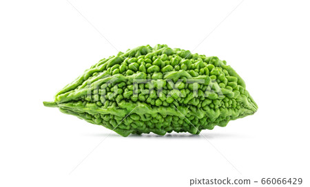 bitter gourd green herbal plant isolated on white background bitter gourd green herbal plant isolated on white background 66066429