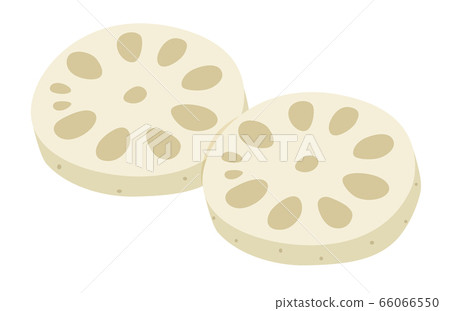 Vegetables lotus root lotus root lotus root 66066550
