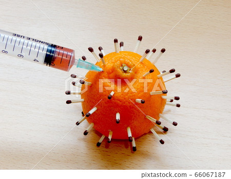 3d model of the coronavirus from tangerine and matches, a syringe with medicine. The concept of treatment of the virus. 3d model of the coronavirus from tangerine and matches, a syringe with medicine. The concept of treatment of the virus. 66067187