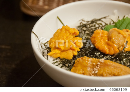 Premium supreme delicious fresh from the sea urchin (Uni) 66068199