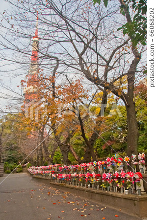 TOKYO, JAPAN - DECEMBER 1, 2018 Park in Zojo-ji temple TOKYO, JAPAN - DECEMBER 1, 2018 Park in Zojo-ji temple 66068202