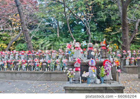 TOKYO, JAPAN - DECEMBER 1, 2018 Park in Zojo-ji temple 66068204