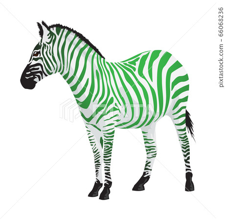 Zebra with strips of green color. 66068236