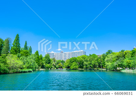 Inokohokoen in Tokyo Spring 66069031