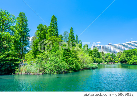 Inokohokoen in Tokyo Spring Inokohokoen in Tokyo Spring 66069032