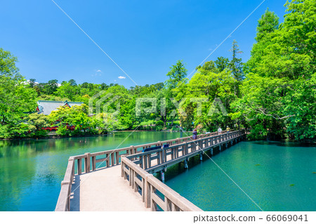 Inokohokoen in Tokyo Spring 66069041