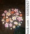 Lighting flowers blooming at night 66069267