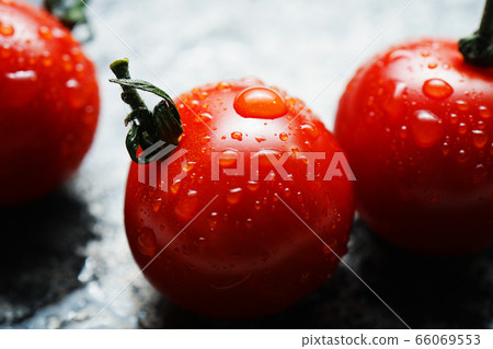 西紅柿與waterdrops 66069553
