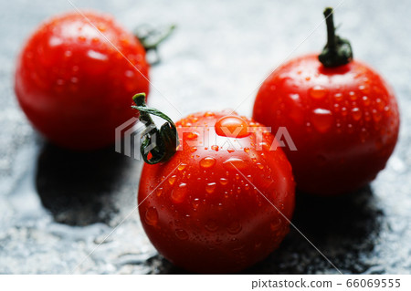 西紅柿與waterdrops 66069555