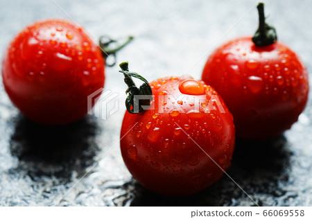 西紅柿與waterdrops 66069558
