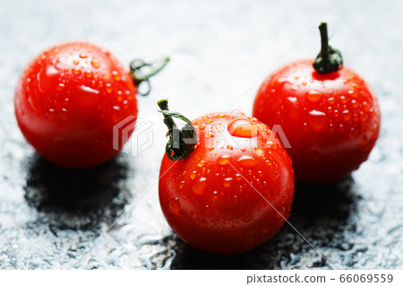 西紅柿與waterdrops 66069559