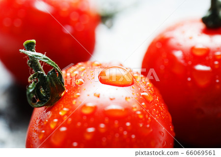 西紅柿與waterdrops 66069561