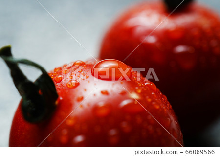 西紅柿與waterdrops 西紅柿與waterdrops 66069566