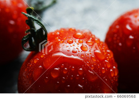 西紅柿與waterdrops 66069568