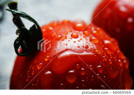 西紅柿與waterdrops 66069569