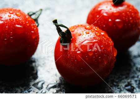 西紅柿與waterdrops 66069571