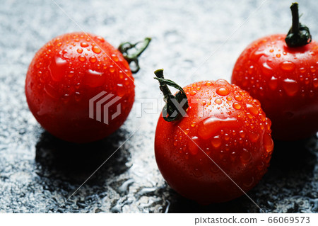 西紅柿與waterdrops 66069573