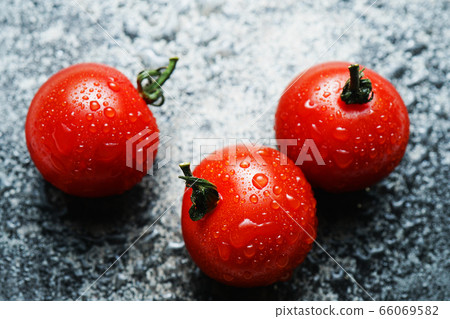 西紅柿與waterdrops 66069582