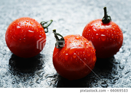 西紅柿與waterdrops 西紅柿與waterdrops 66069583