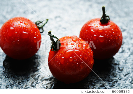 Tomatoes with waterdrops 66069585