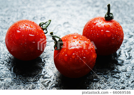 西紅柿與waterdrops 66069586