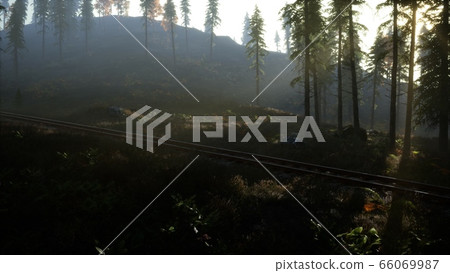 National Forest Recreation Area and the fog with 66069987