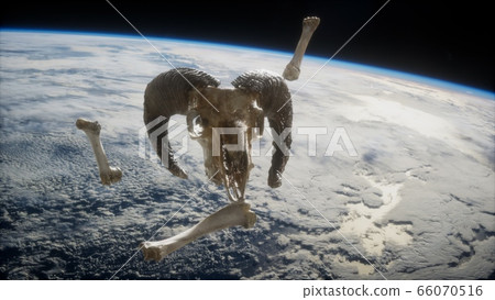 rams skull with bones at Earth orbit 66070516