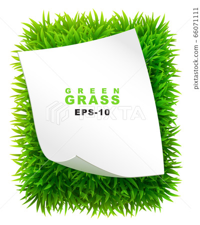 Grassy rectangle with a clean sheet of paper Grassy rectangle with a clean sheet of paper 66071111