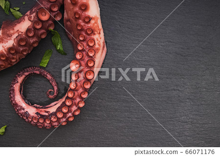 Boiled octopus on black stone background close-up. 66071176