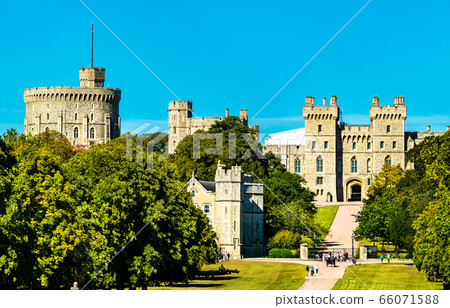 View of Windsor Castle from the Long Walk, England View of Windsor Castle from the Long Walk, England 66071588